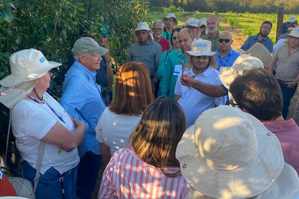 39 perímetros da Codevasf visitam Projeto Formoso para conhecer modelo de gestão e projeto-piloto de diversificação agrícola