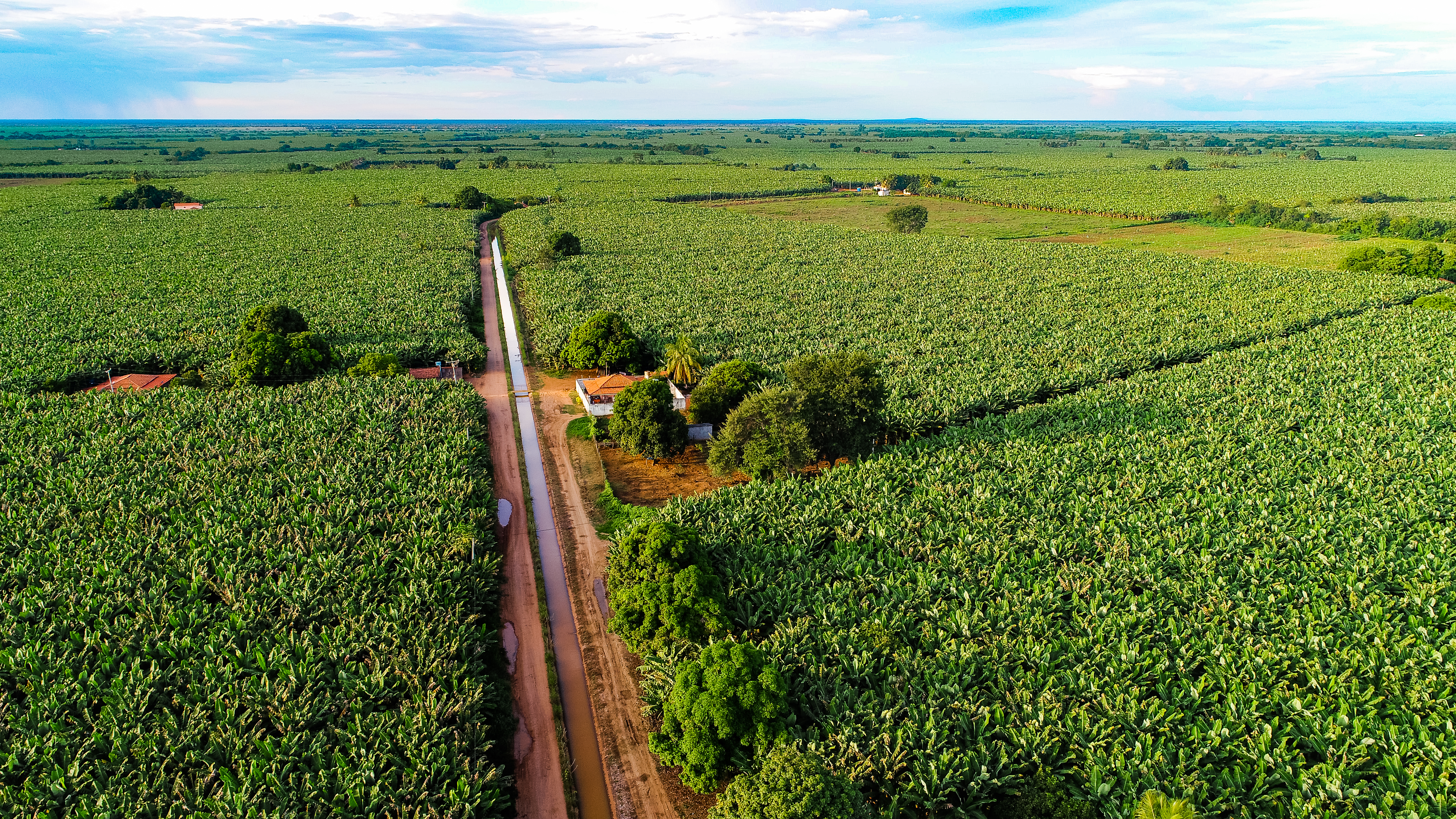 Perímetro Irrigado do Formoso - BA