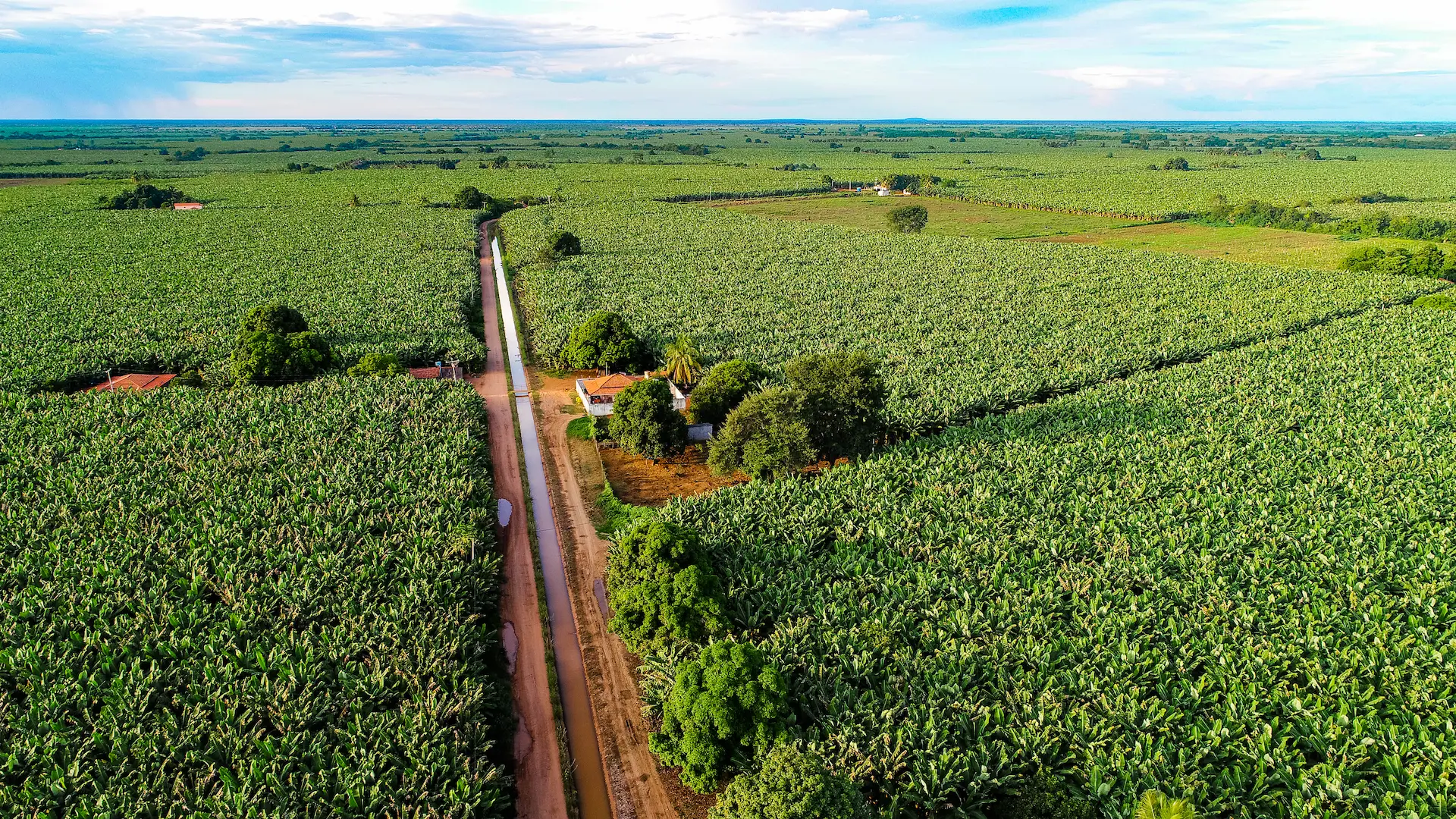 Perímetro Irrigado do Formoso - BA