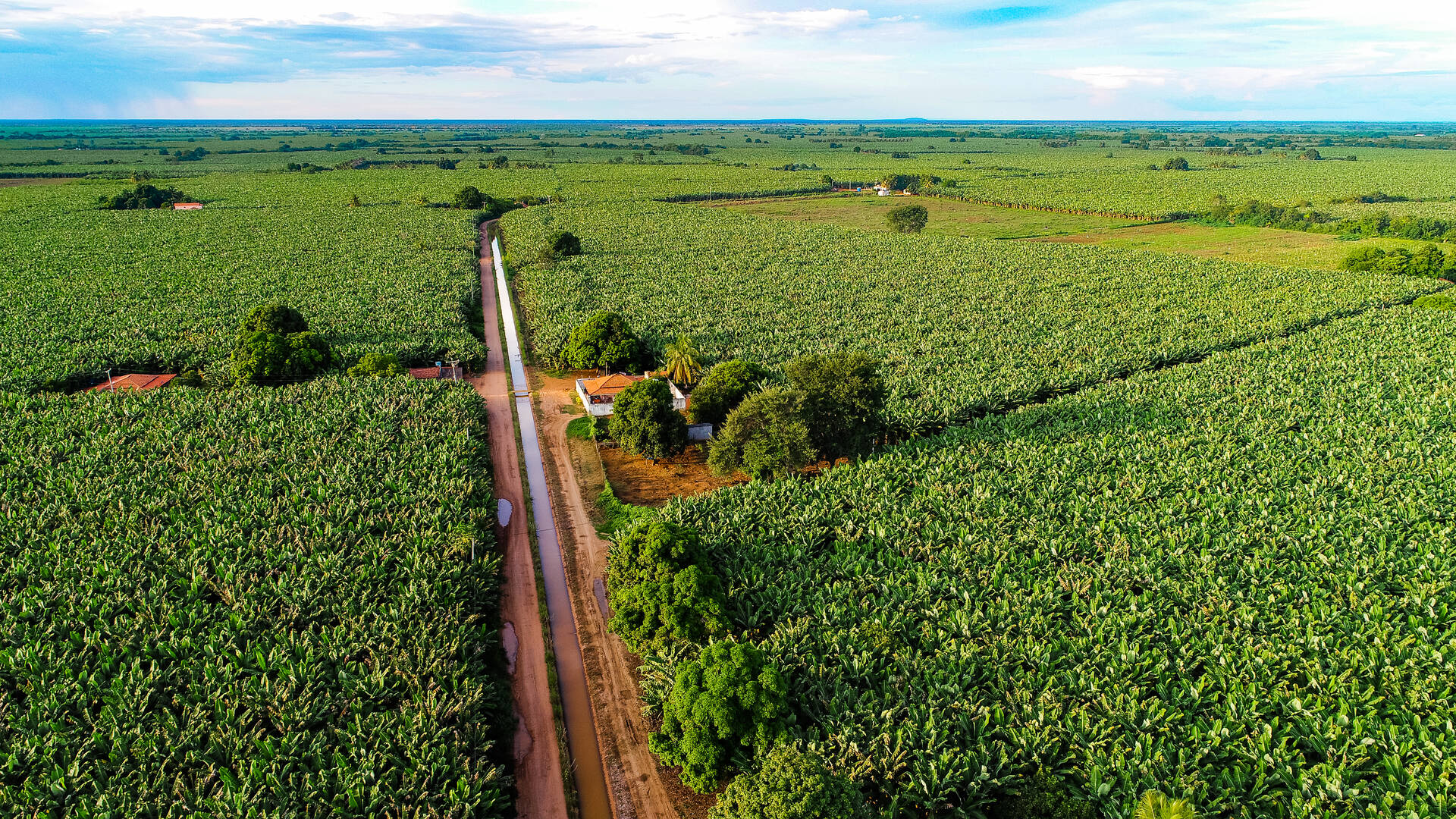Distrito de Irrigação Formoso